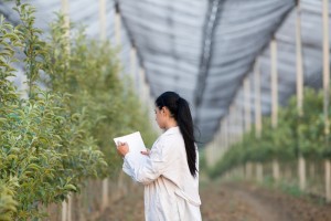 Агрохимия и защита растений с присвоением квалификации «Агроном по защите растений»